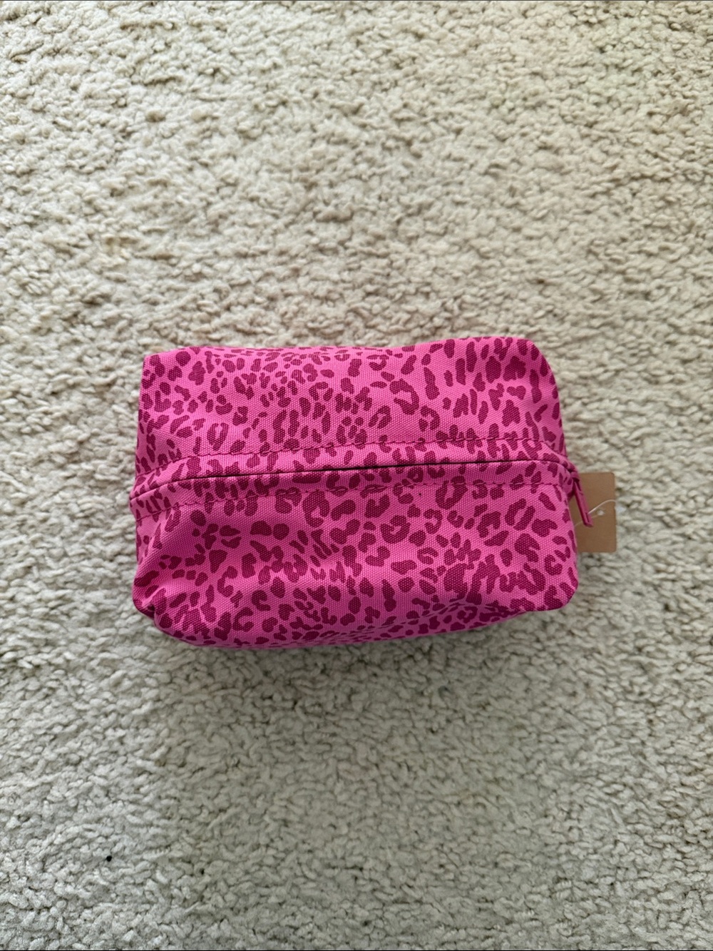 Brandy melville Pink Leopard makeup bag